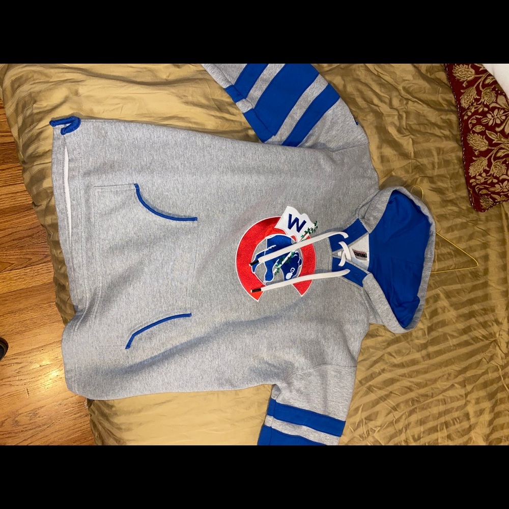 Chicago Cubs 2016 hoodie